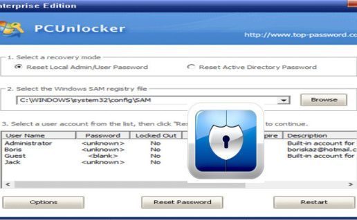 does pcunlocker show passwords